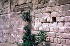 Jerusalem's Wall