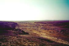 Wilderness of Beersheba